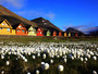 #4  Magic Photo Mug - Summer in Longyearbyen