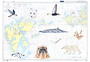 Illustrated maritime seachart of Svalbard